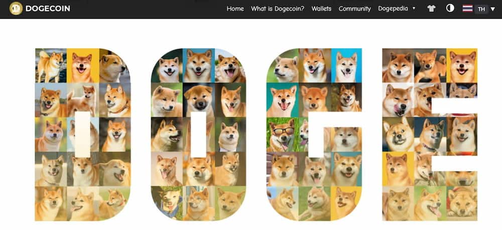 Dogecoin (DOGE)