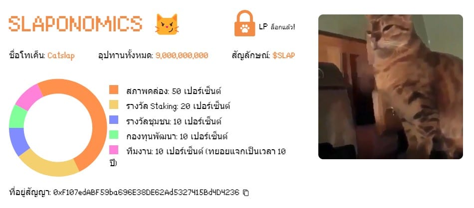 ทำไมถึงควรลงทุนใน CatSlap Token