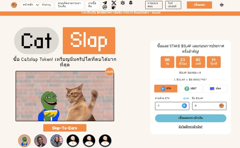 โครงการ Catslap คืออะไร