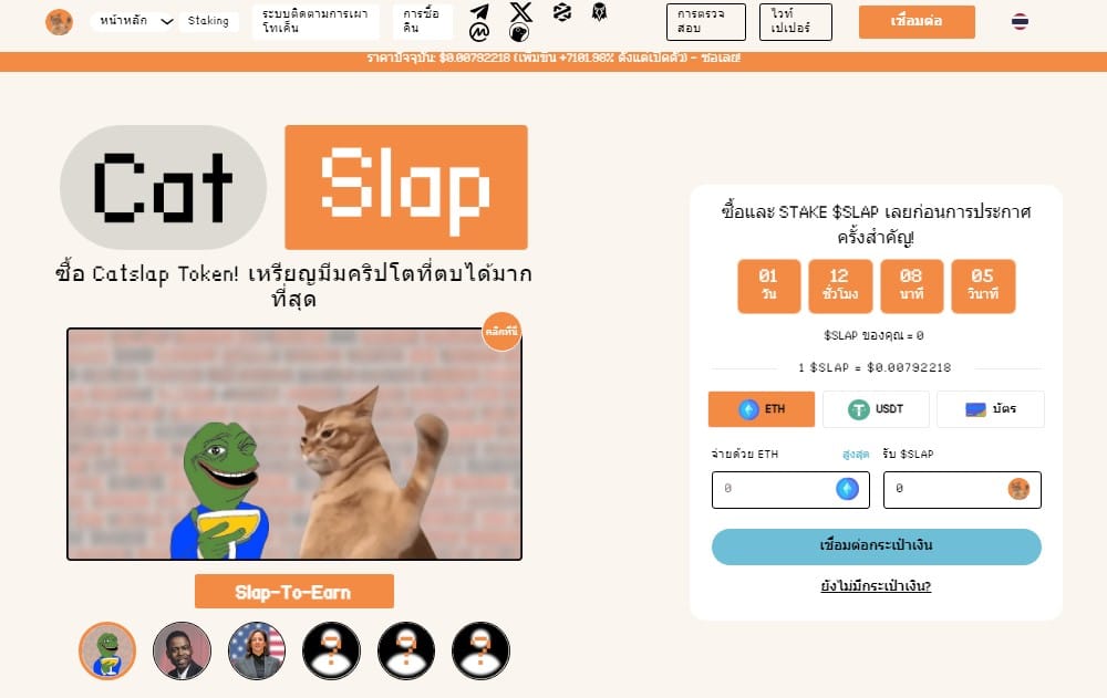 CatSlap ($SLAP) - เหรียญมีมน้องแมว ที่กำลังเป็นกระแสมากที่สุดในตอนนี้