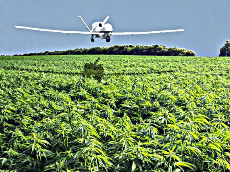 pricetracker cannabis pricetracker cannabis