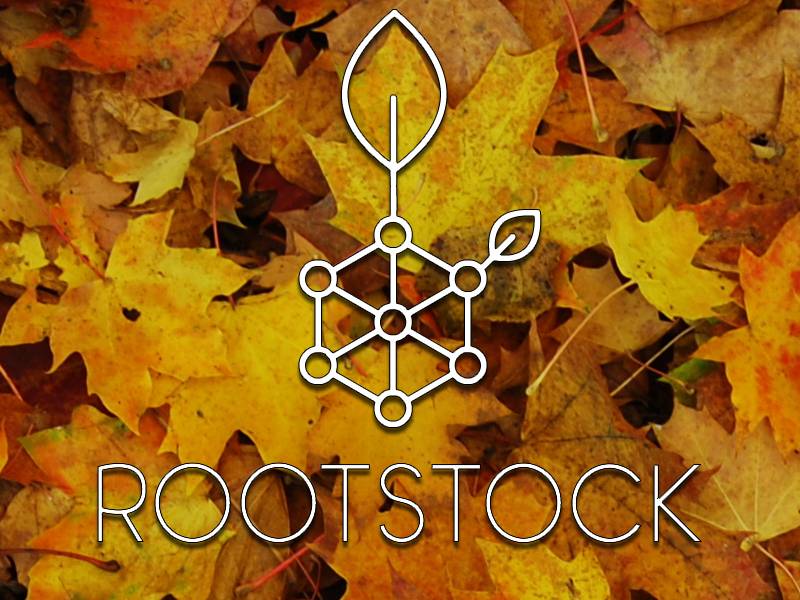 root stock bitcoins