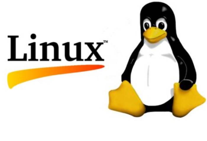 Bitcoin Linux