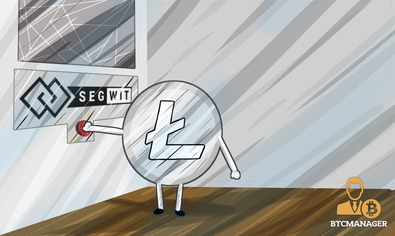 Когда было активировано обновление segwit. Segwit. segregated witness.