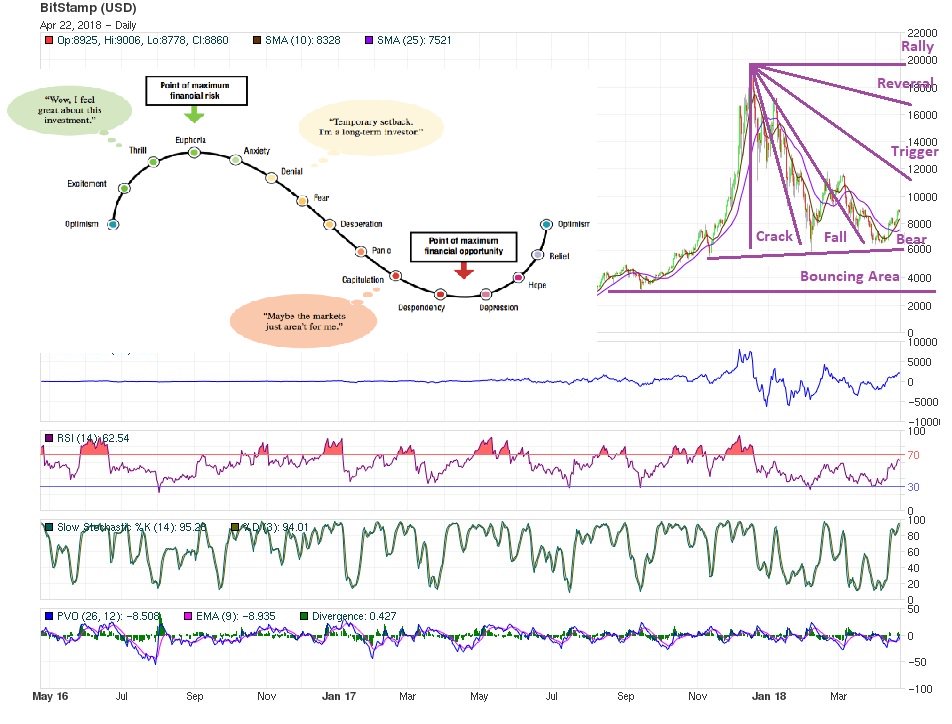 Too Soon for ‘To the Moon’: What the BTC Rally Really Means