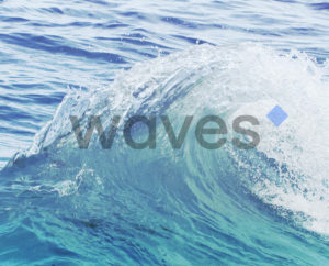 Waves price