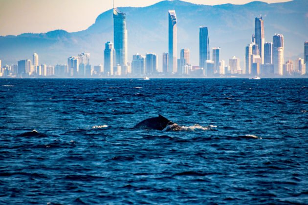 Queensland to Become a Hotspot for Crypto Spenders