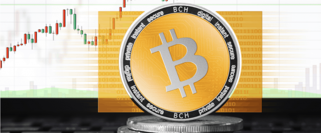 Bitcoin Cash Price !   Predictions For 2019 Will It Hit 700 - 