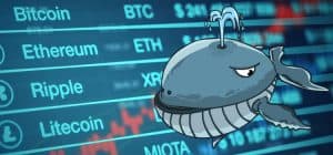 Crypto Whales