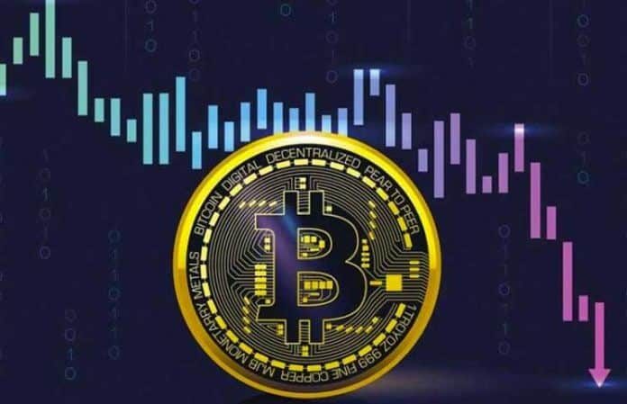 Bitcoin Daily Price Forecast