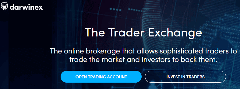 Best!    10 Stp Forex Brokers 2019 Insidebitcoins Com - 