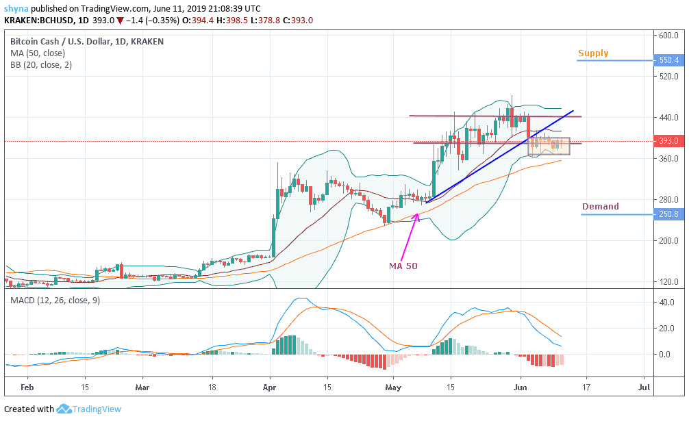 Bitcoin Cash!    Bch Usd Succumbs To Sideways Movement After Bull - 