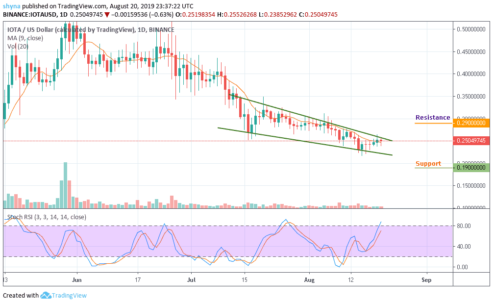 Iota Usd Chart