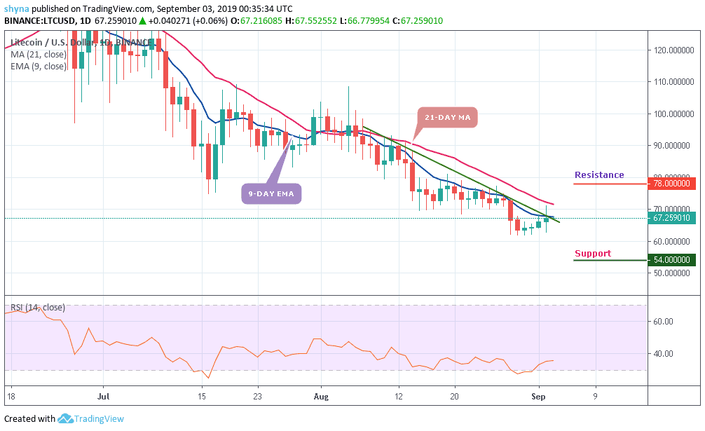 Litecoin Daily Price Chart