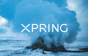 Xpring Announces Platform That Integrates Crypto And Fiat Payments Into Apps