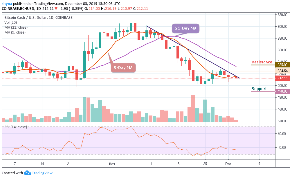 Bitcoin Cash Prediction Chart