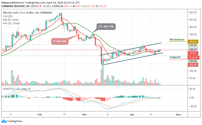 Zoom Coin Price Prediction Spg Pack Com