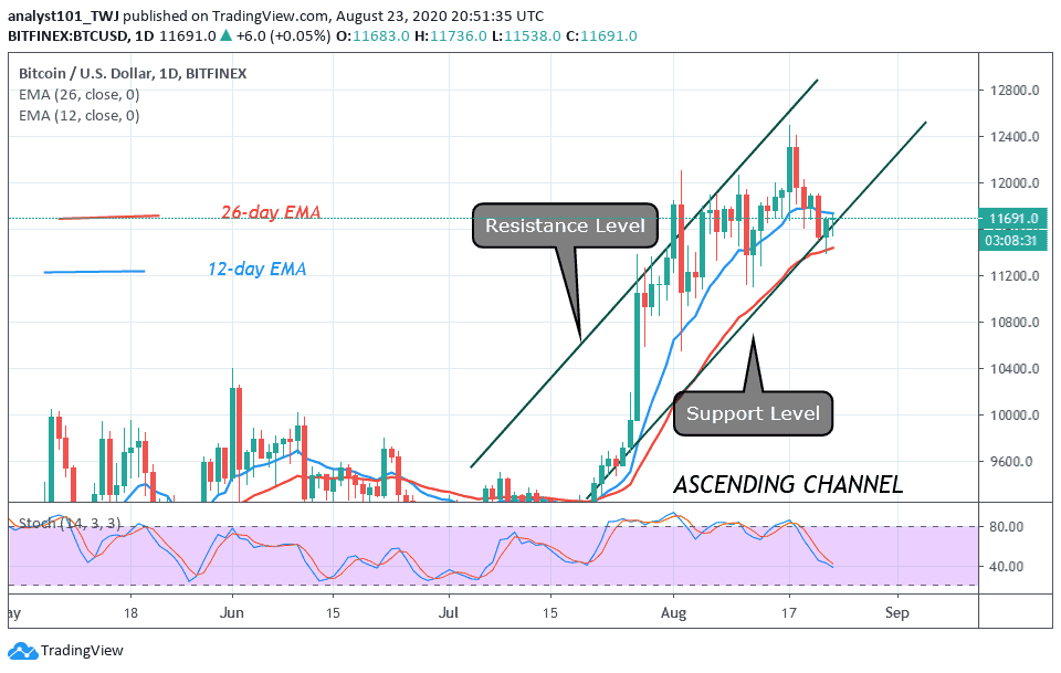 10000 bit coin to usd