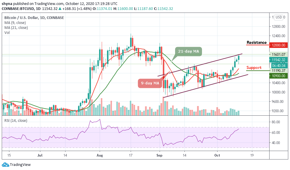 Bitcoin Price Prediction: BTC/USD Bulls Kick Off Today ...