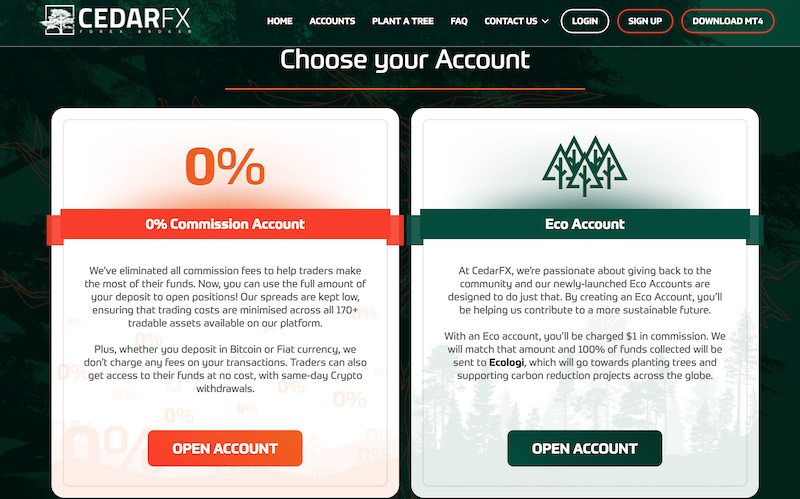 CedarFX account types