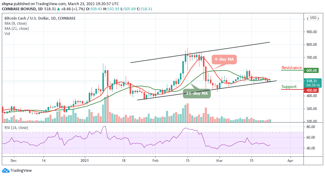 What Is The Price Of Bitcoin Cash - Bitcoin Cash 2021 Jetzt Noch Einsteigen : What is the bitcoin cash max supply?