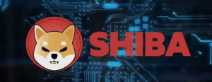 SHIB the Dogekiller Here is why you should buy or sell