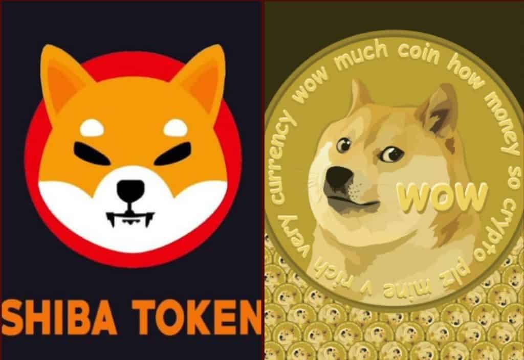 winry inu coin price
