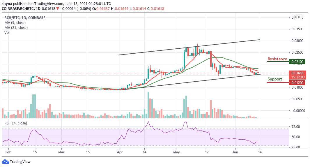 BCHBTC 12062021 - تحلیل تکنیکال بیت کوین کش؛ یکشنبه 23 خرداد
