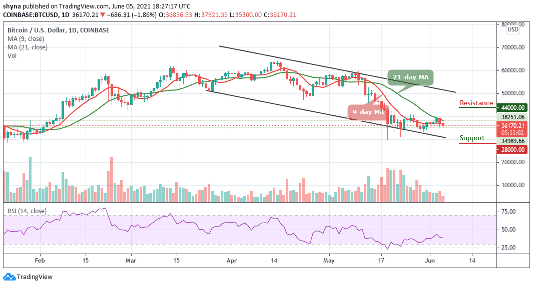 zoom stock price prediction