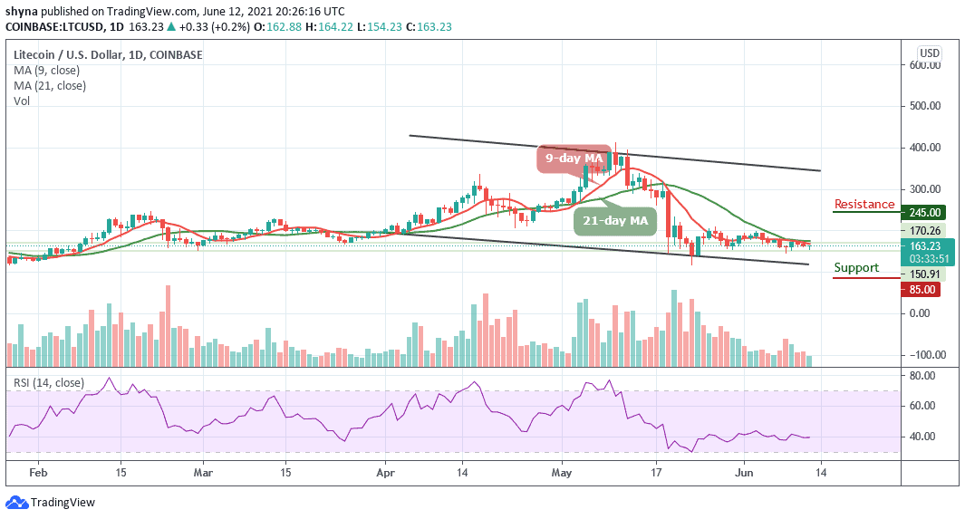 Litecoin Price Prediction