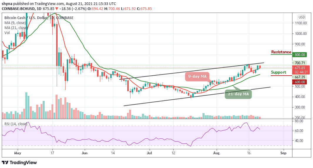 bitcoin cash prediction today