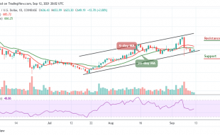 Bitcoin Cash Price Prediction