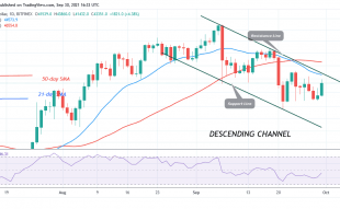 Bitcoin (BTC) Price Prediction: BTC/USD Fails to Sustain Above $44k as Bitcoin Faces Rejection