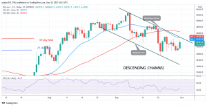 Bitcoin (BTC) Price Prediction: BTC/USD Faces Rejection at $44k High as Bitcoin Consolidates Above $42k