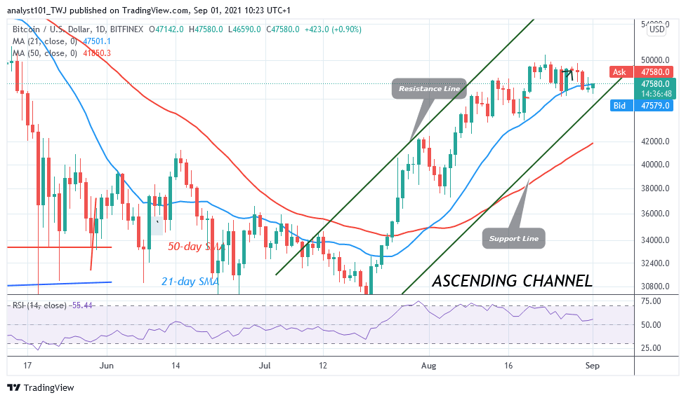  Bitcoin (BTC) Price Prediction: BTC/USD Rallies to $49K as It Reaches Striking Distance 