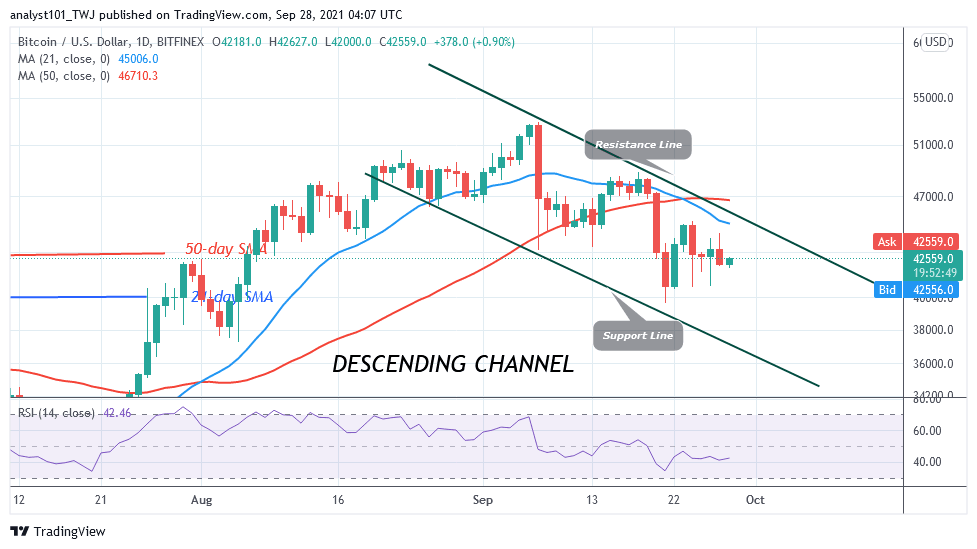 Bitcoin (BTC) Price Prediction: BTC/USD Resumes Range-Bound Move as Bitcoin Holds Above $40k