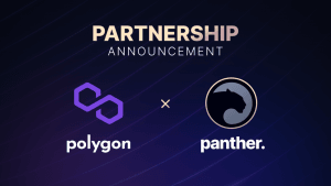 polygon panther partner