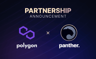 polygon panther partner