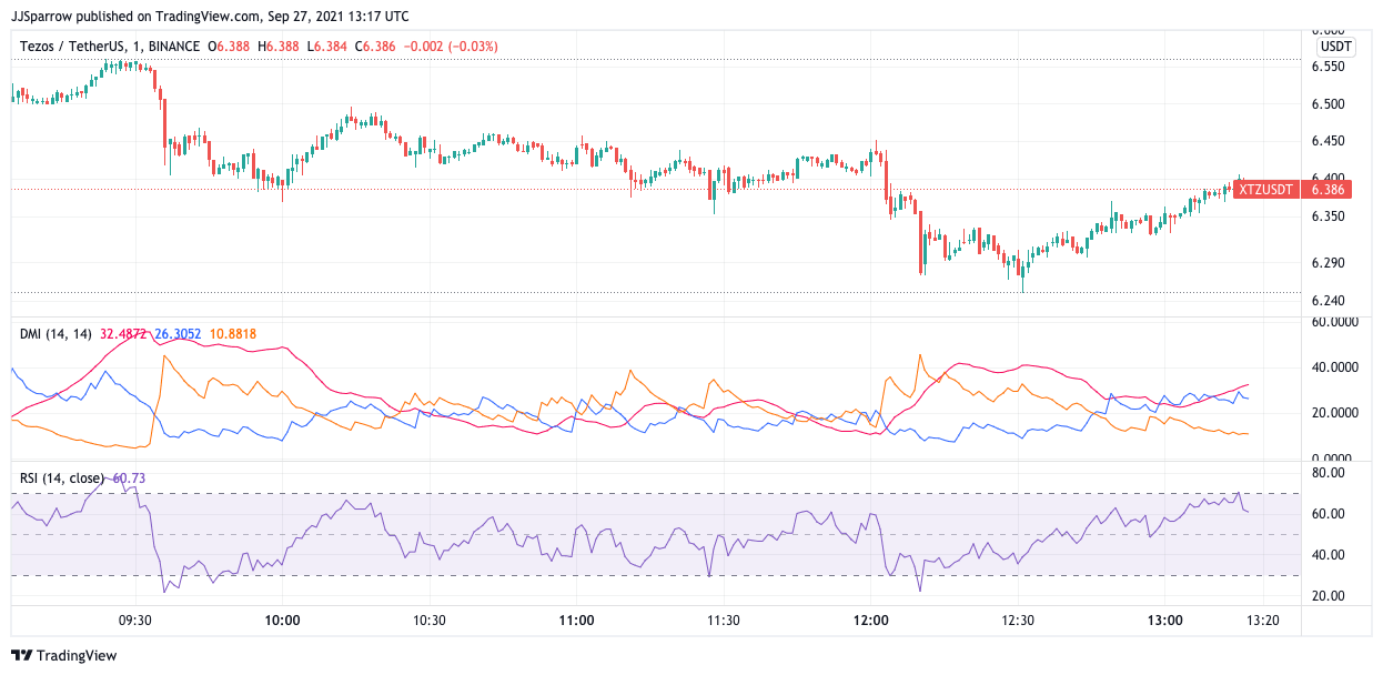 Top Coins to Watch