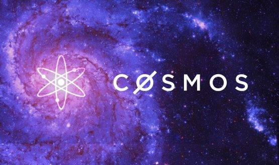 Cosmos Price