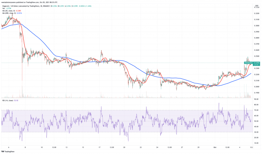 Dogecoin (DOGE) price chart - 5 best cryptocurrency to buy on low prices.