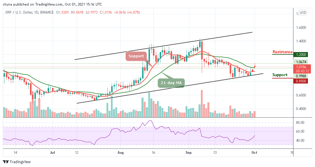 Ripple Price Prediction