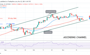 Bitcoin (BTC) Price Prediction: Bitcoin Hovers above $55.6k as Bitcoin Looks Oversold