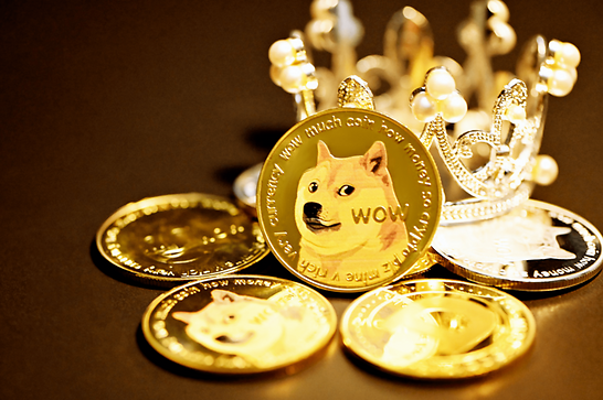 Kaufen Sie Dogecoin