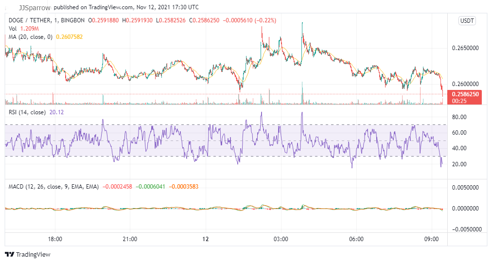 Dogecoin price chart November 12