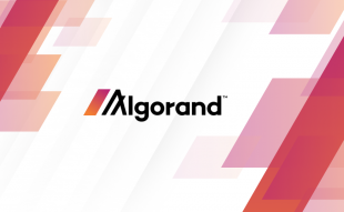 Big Win for Algorand Crypto in Nigeria