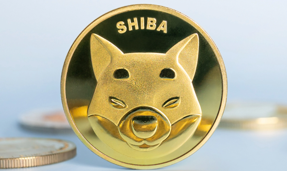 sell shiba inu coin binance