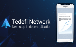 TeDefi Network