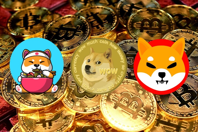 5 Best Meme Coins to Buy December 2021