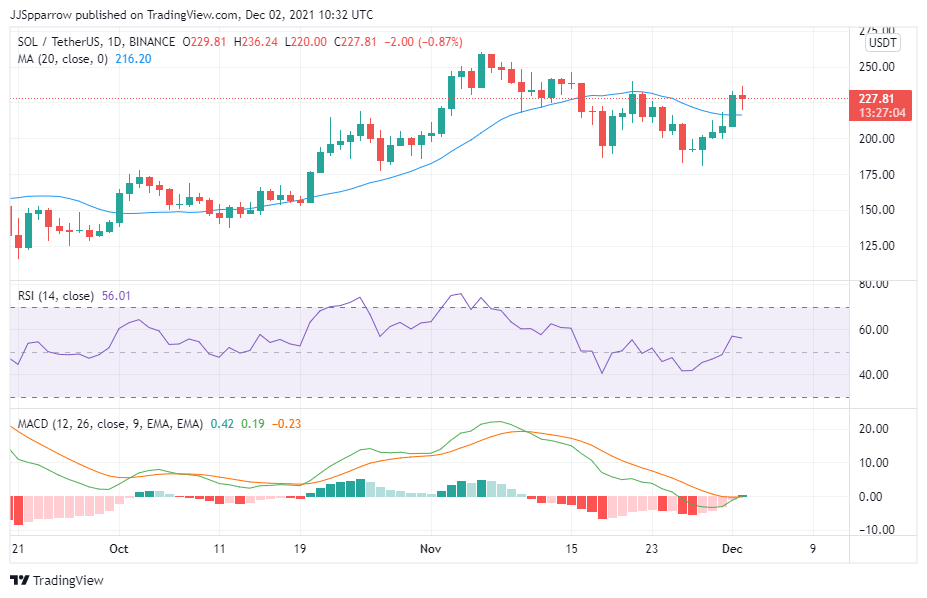 SOL price chart, December 2